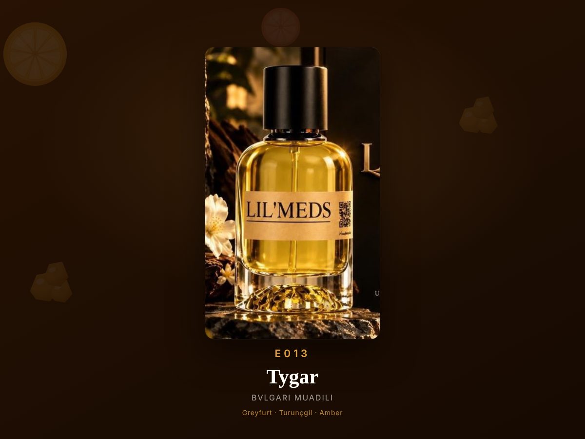 Bvlgari Tygar muadili parfüm — E013, 50 ml