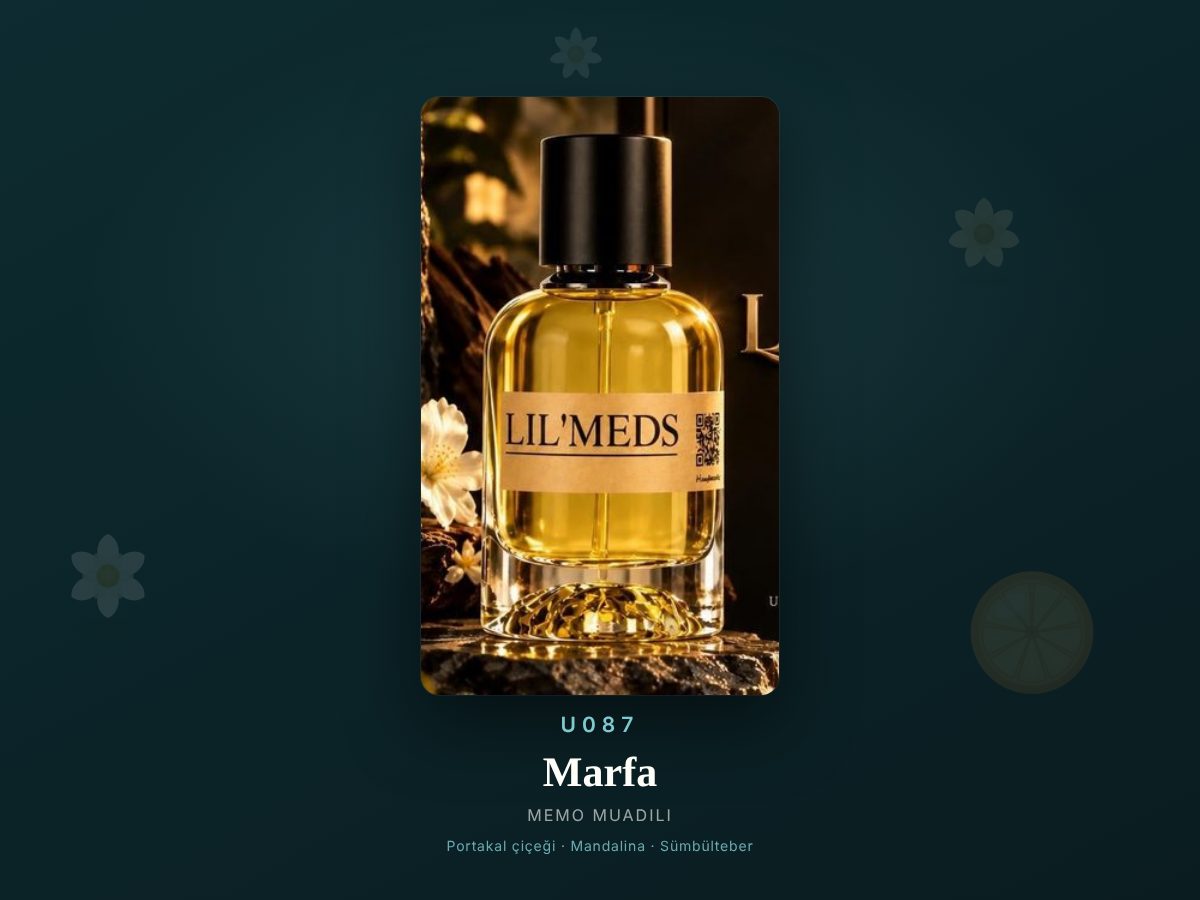 Memo Marfa muadili parfüm — U087, 50 ml